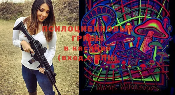 a pvp Абаза