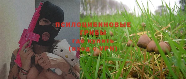 a pvp Абаза