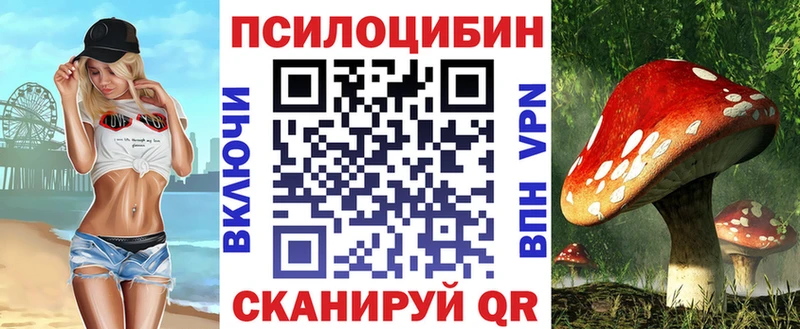 купить   Серафимович  Галлюциногенные грибы мицелий 